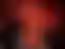 Darth Talon Statue | Star Wars Fan Art by Digital Dark SFW,NSFW,Futa 3d printed statue,3d printed,nsfw statue,futa statue,3d printed figure,Darth Talon Statue,Star Wars Statue,futa figurines,futanari figurines,futanari statue