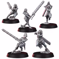 Sisters In Heresy Repentium Squad Miniature | 40k Fan Art by WargamesExclusive SFW 3d printed miniature,3d printed,miniature,sfw miniature,warhammer 40k,40k miniature,Sisters In Heresy Repentium Squad