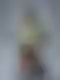 Meowscarada Statue | Pokemon Fan Art by Anyonensfw SFW,NSFW,Futa 3d printed,3d printed statue,nsfw statue,futa statue,furry statue,Meowscarada Statue,Pokémon Statue,futa figurines,futanari figurines,futanari statue