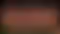 Statue de Chel | La Route d’El Dorado Fan art par Digital Dark SFW,NSFW,Futa 3d printed statue,3d printed,nsfw statue,futa statue,3d printed figure,Chel Statue,The Road to Eldorado,futa figurines,futanari figurines,futanari statue