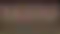 Sister of Battle Statue | 40k Fanart von Digital Dark SFW,NSFW,Futa 3d printed statue,3d printed,nsfw statue,futa statue,futa figurines,futanari figurines,futanari statue,3d printed figure,Sister of Battle Statue ,warhammer 40k statue