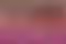 Uzaki Tsuki The Cooking Milf Statue | Uzaki Chan Fanart von KiTNo SFW,NSFW 3d printed statue,3d printed figure,nsfw statue,Uzaki Chan statue,Uzaki Tsuki statue