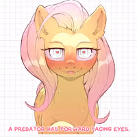 Adesivo Fluttershy Furry | My Little Pony Adesivo in vinile SFW furry sticker,sfw sticker,stickers,fluttershy,mlp sticker,My Little Pony sticker