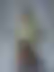 Meowscarada Statue | Pokemon Fan Art by Anyonensfw SFW,NSFW,Futa 3d printed,3d printed statue,nsfw statue,futa statue,furry statue,Meowscarada Statue,Pokémon Statue,futa figurines,futanari figurines,futanari statue